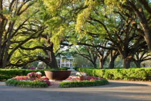 Oak Alley New Orleans